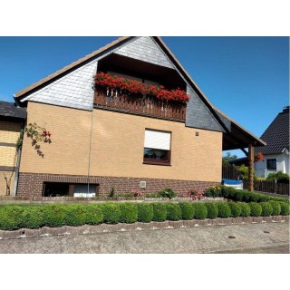 Ferienwohnung in Hankensbüttel ab 40€ pro Nacht