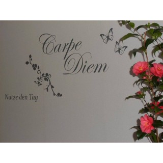 Ferienhaus in Nahetal ab 50€ pro Nacht