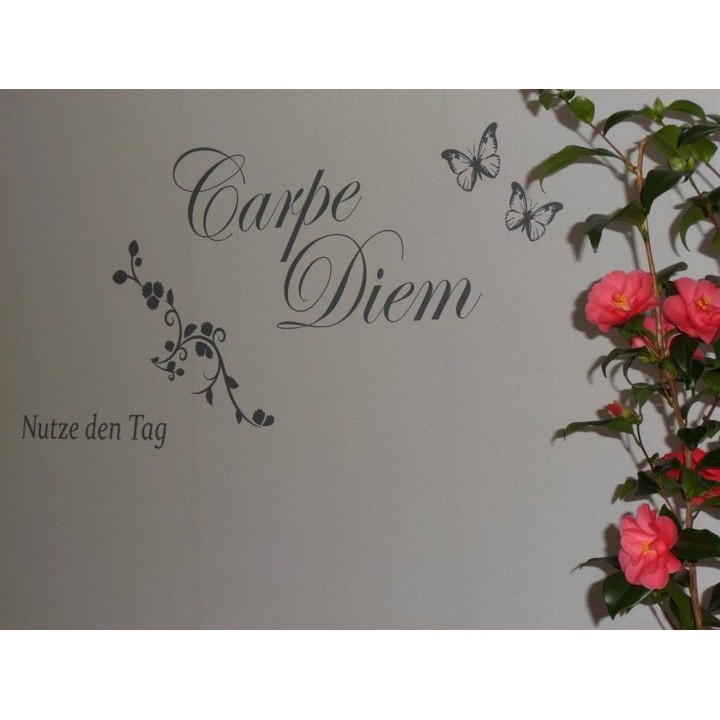 Ferienhaus in Nahetal ab 50€ pro Nacht