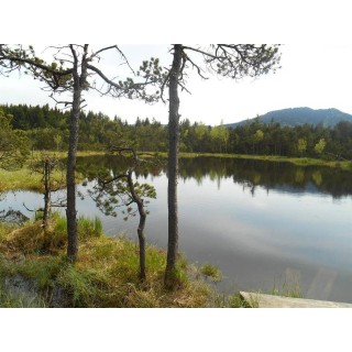 Ferienwohnung in Saulgrub ab 48€ pro Nacht