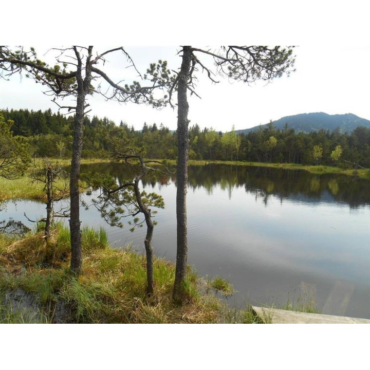 Ferienwohnung in Saulgrub ab 48€ pro Nacht