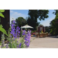 Ferienhaus in Bösdorf ab 15€ pro Nacht