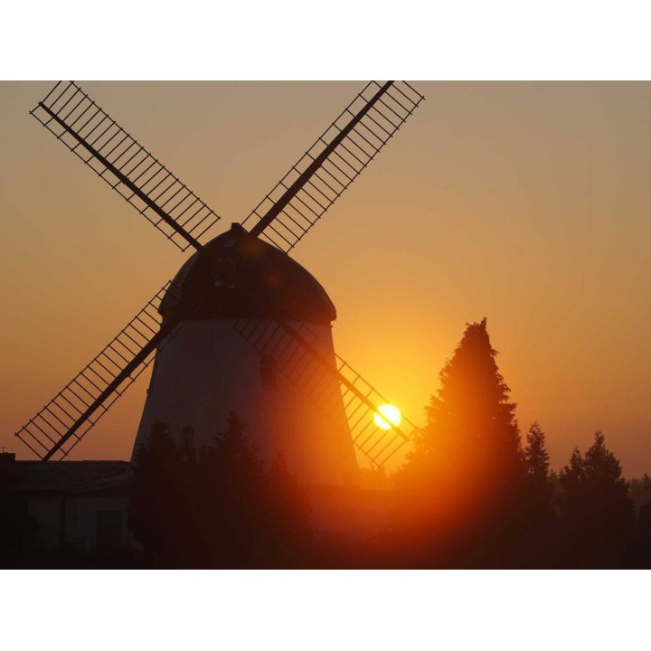 Ferienwohnung in Wittingen ab 49€ pro Nacht