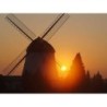 Ferienwohnung in Wittingen ab 49€ pro Nacht