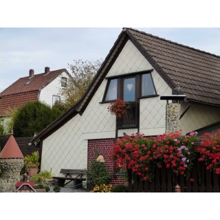 Ferienwohnung in Westharz ab 56€ pro Nacht