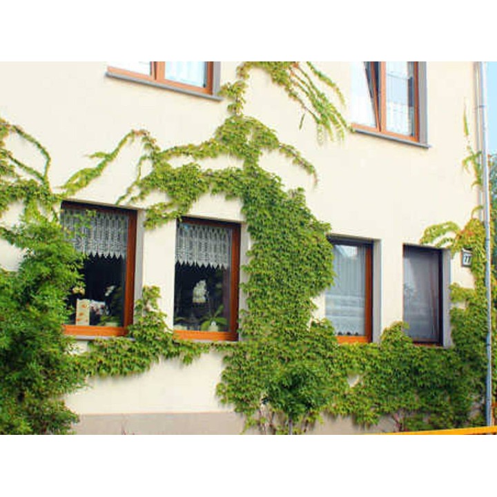 Hotel in Fläming ab 34€ pro Nacht