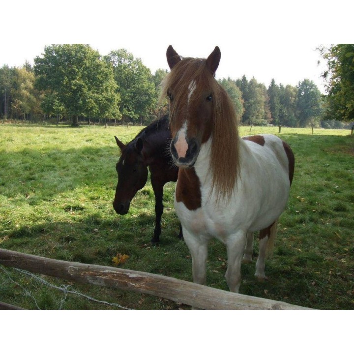 Ferienwohnung in Wietzendorf ab 47€ pro Nacht