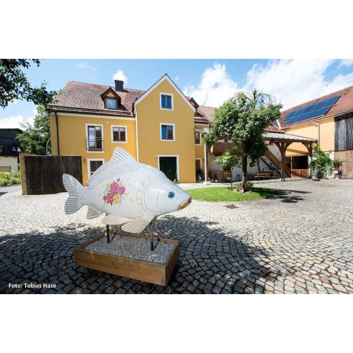 Ferienwohnung in Oberpfalz ab 40€ pro Nacht