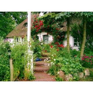 Ferienwohnung in Tating ab 33€ pro Nacht