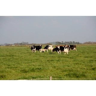 Ferienhaus in Wattenmeer ab 55€ pro Nacht