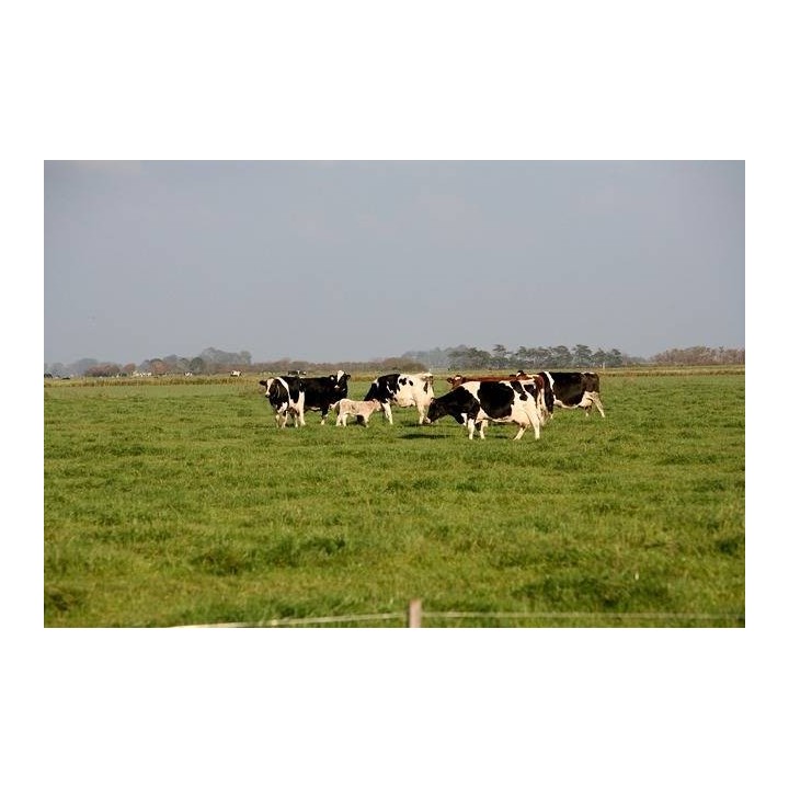 Ferienhaus in Wattenmeer ab 55€ pro Nacht