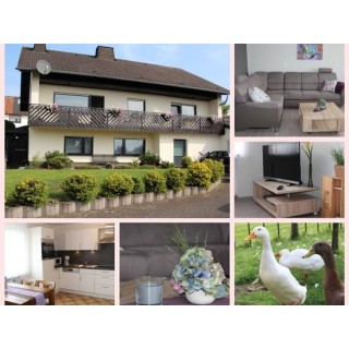 Ferienwohnung in Eifel ab 45€ pro Nacht