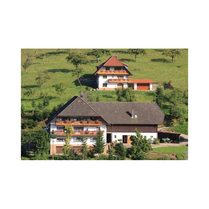 Ferienwohnung in Oberrhein ab 46€ pro Nacht