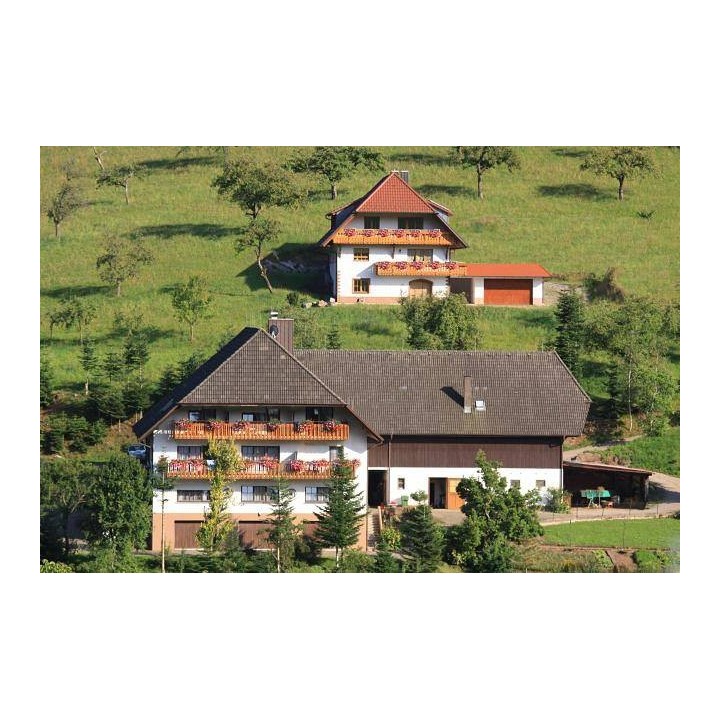 Ferienwohnung in Oberrhein ab 46€ pro Nacht