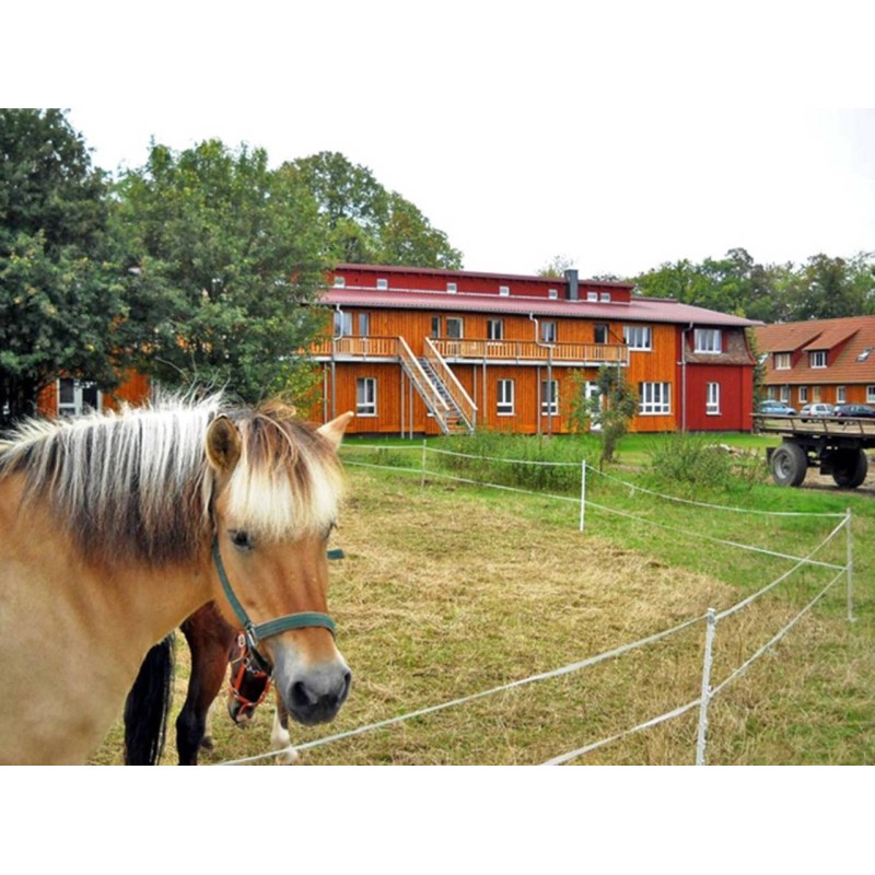 Ferienwohnung in Schwerin ab 46€ pro Nacht