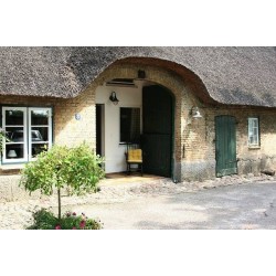 Ferienwohnung in Treia ab 52€ pro Nacht