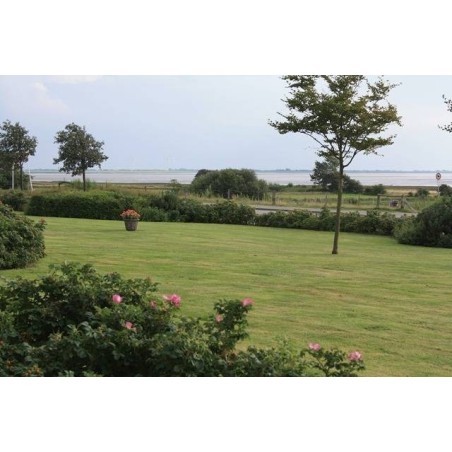 Ferienwohnung in Husum ab 45€ pro Nacht