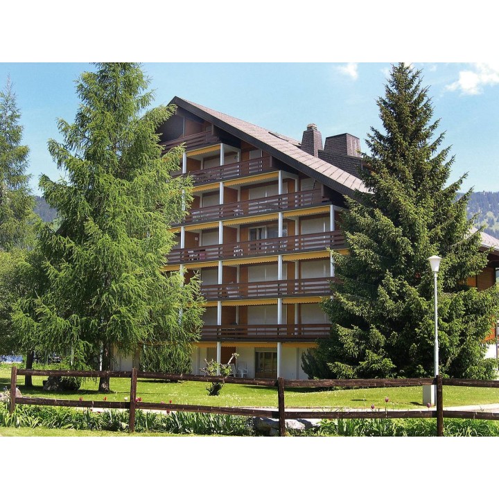 Ferienwohnung in Alpes Vaudoises ab 52€ pro Nacht