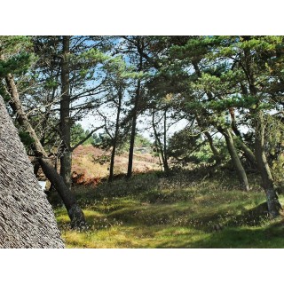 Ferienhaus in Rømø ab 58€ pro Nacht