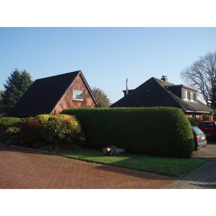 Ferienhaus in Osteel ab 55€ pro Nacht