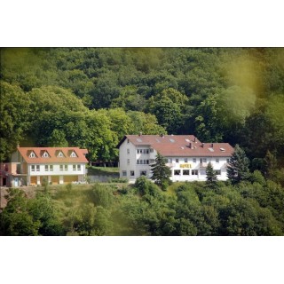 Pfälzer Weinberg-Arrangement