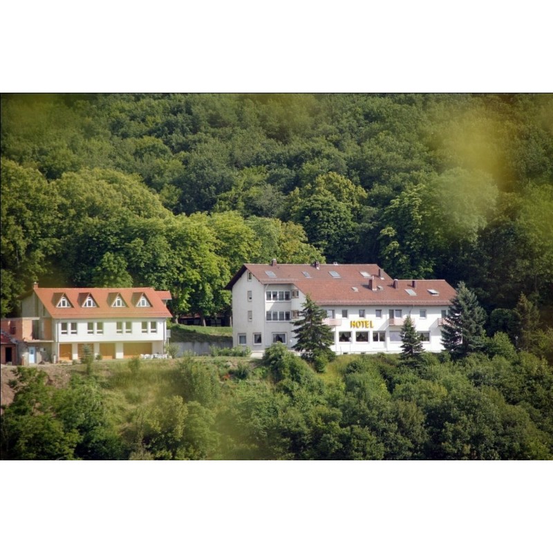 Pfälzer Weinberg-Arrangement