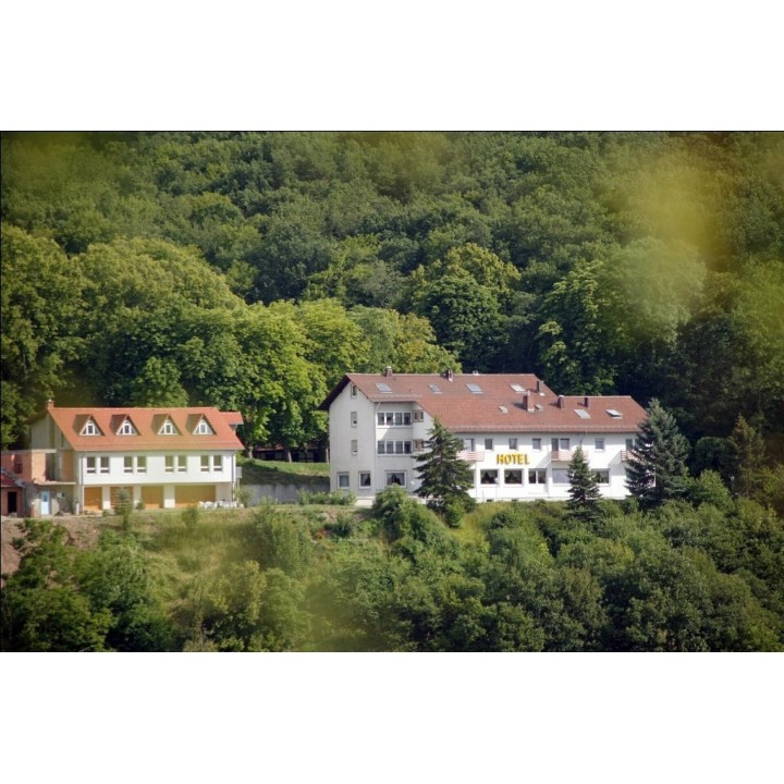 Pfälzer Weinberg-Arrangement