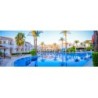 Dive Inn Resort
