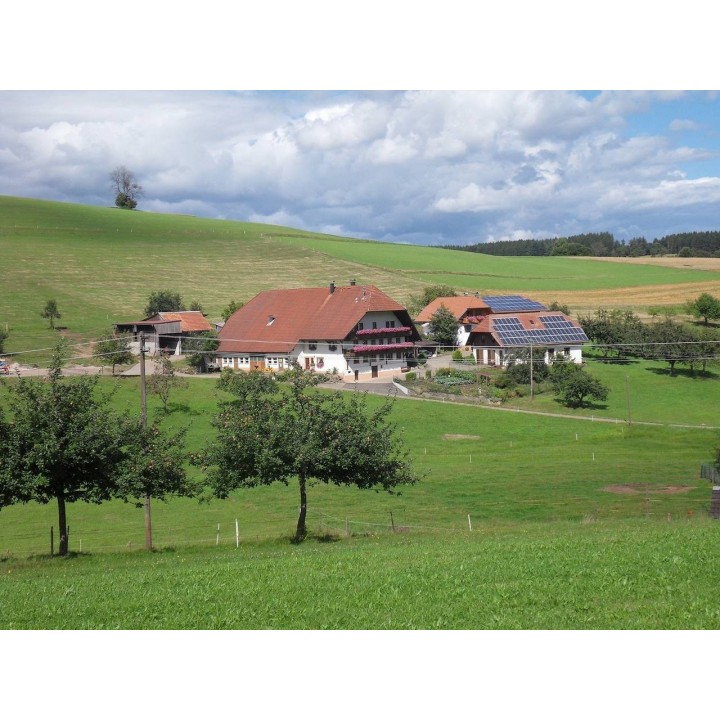 Ferienhaus in Elzach ab 55€ pro Nacht