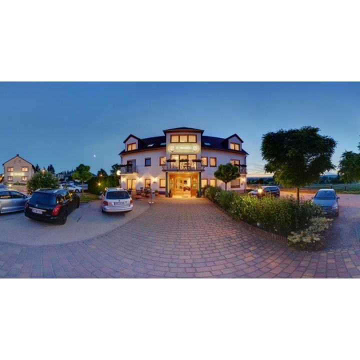 Radeln auf dem Rheinradweg-Rheinhessen-Mainz-Ingelheim-Bingen