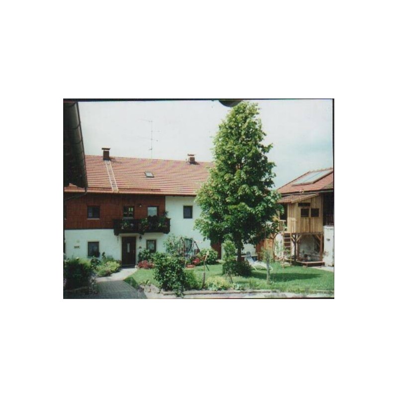 Ferienwohnung in Triftern ab 55€ pro Nacht