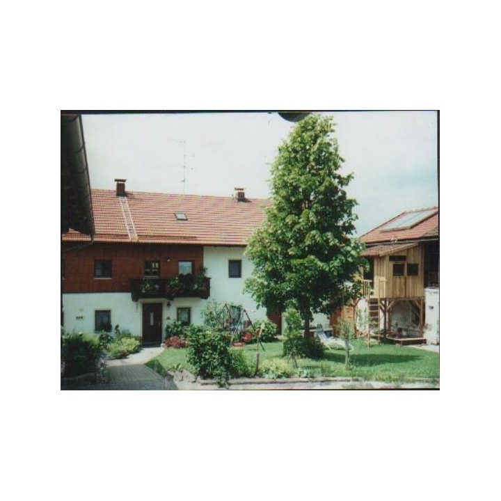 Ferienwohnung in Triftern ab 55€ pro Nacht