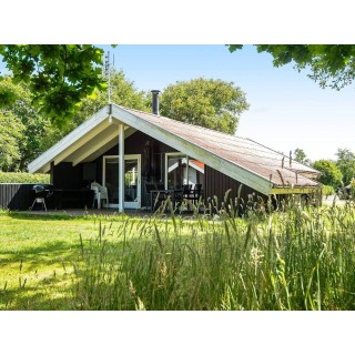 Ferienhaus in Hemmet ab 39€ pro Nacht