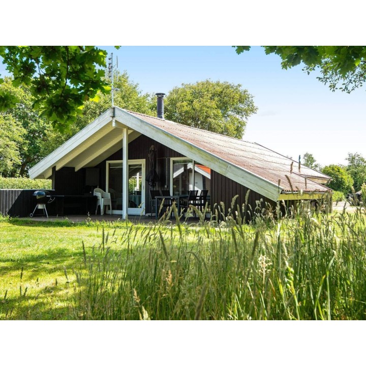 Ferienhaus in Hemmet ab 39€ pro Nacht