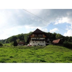 Ferienwohnung in Oberrhein ab 52€ pro Nacht