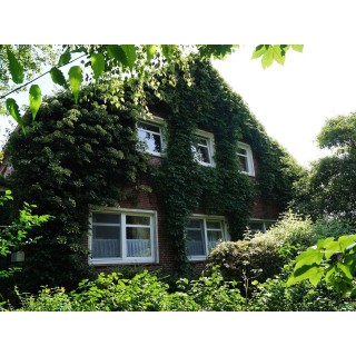 Ferienhaus in Emsland ab 59€ pro Nacht