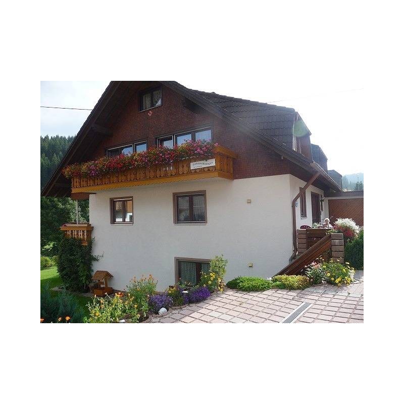 Ferienwohnung in Vöhrenbach ab 40€ pro Nacht
