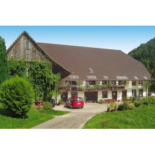 Ferienwohnung in Hornberg ab 55€ pro Nacht