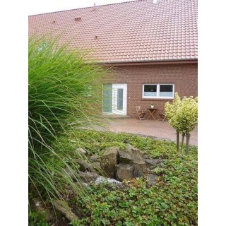 Ferienwohnung in Bramsche ab 55€ pro Nacht