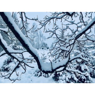 Ferienhaus in Vogtland ab 43€ pro Nacht