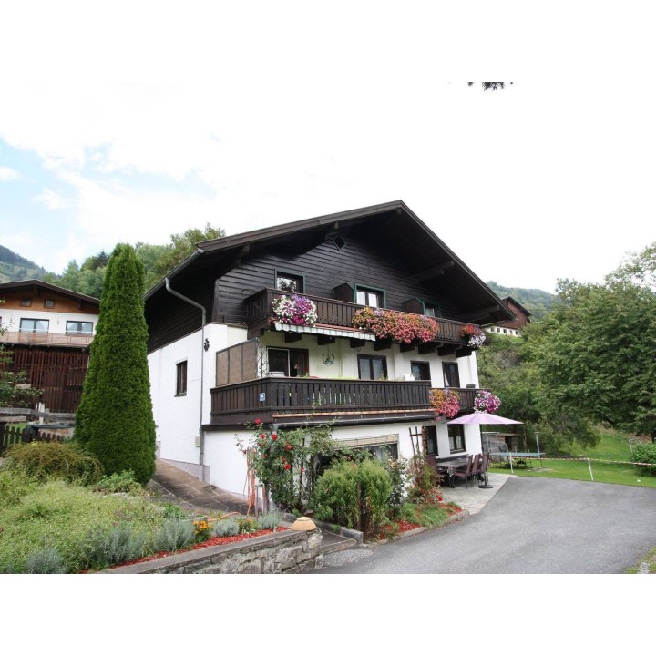 Ferienwohnung in Pinzgau ab 58€ pro Nacht