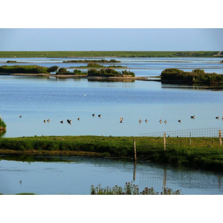 Ferienwohnung in Dagebüll ab 51€ pro Nacht