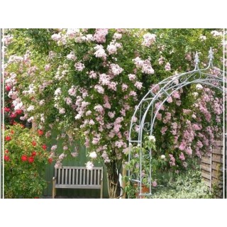 Ferienwohnung in Erfde ab 52€ pro Nacht