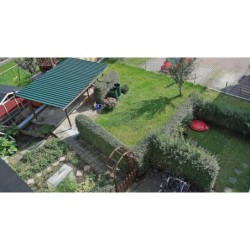 Ferienwohnung in Dresden ab 53€ pro Nacht