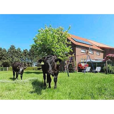 Ferienwohnung in Wattenmeer ab 53€ pro Nacht