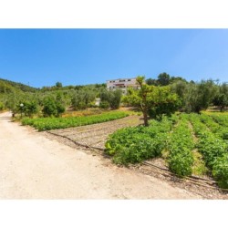 Ferienwohnung in Gargano ab 33€ pro Nacht
