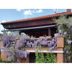Ferienwohnung in Warnow - West ab 56€ pro Nacht
