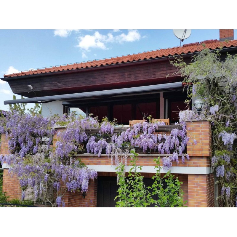 Ferienwohnung in Warnow - West ab 56€ pro Nacht