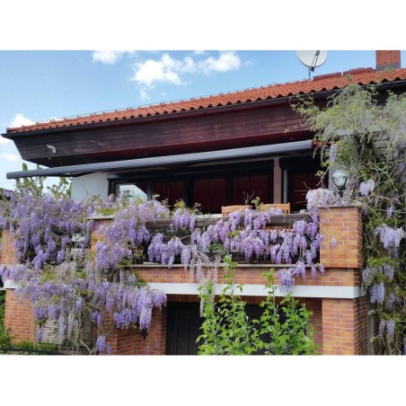 Ferienwohnung in Warnow - West ab 56€ pro Nacht