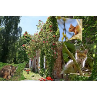 Ferienhaus in Tôtes ab 48€ pro Nacht